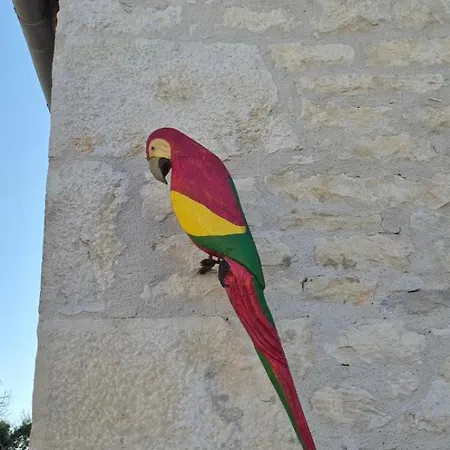 בית נופש The Parrot House Floirac (Lot)